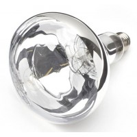 250 Watt Shatter Proof Infra Red - Clear heat Lamp 